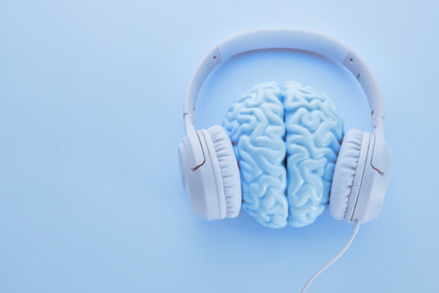 Felipe Schroeder dos Anjos explora como os diferentes gêneros musicais impactam a atividade cerebral e moldam nossa percepção sonora.